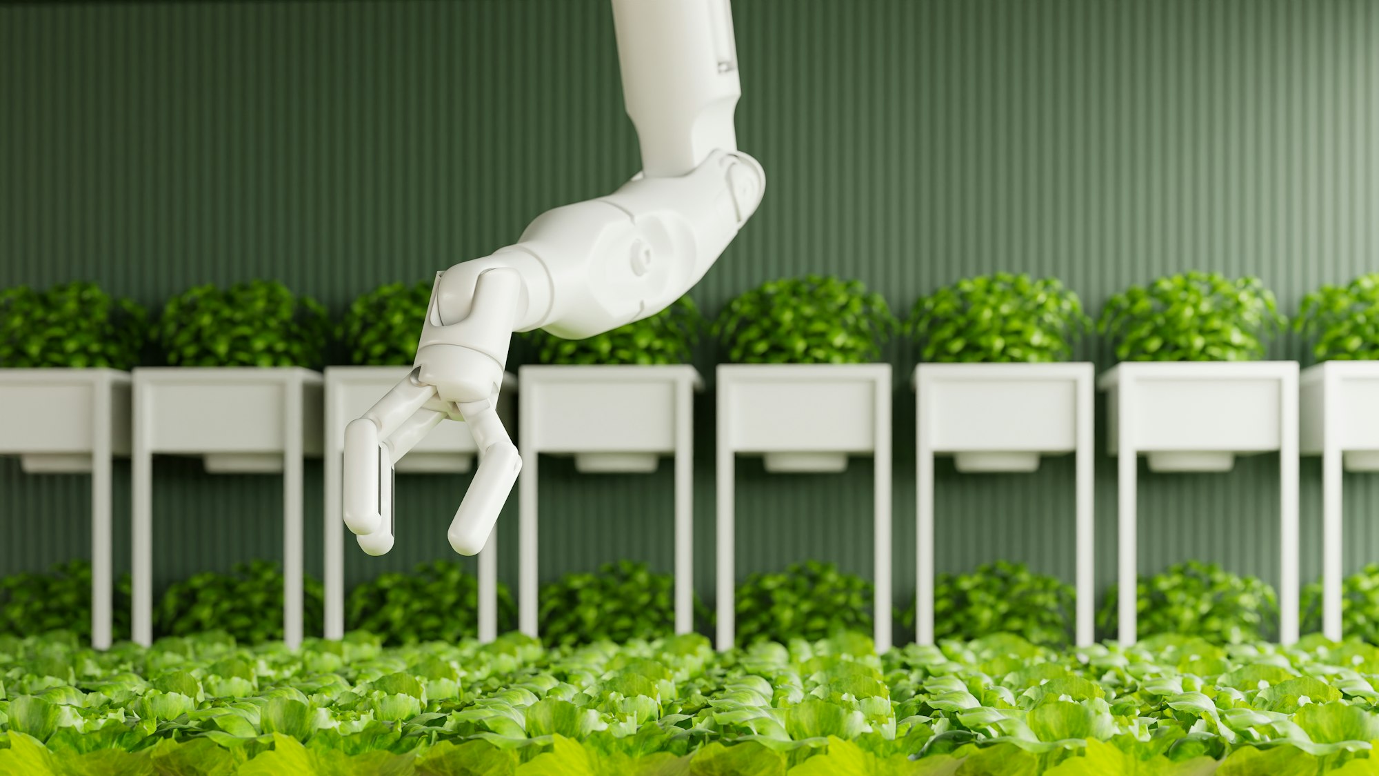 Smart robotic farmers concept,Agriculture technology automation